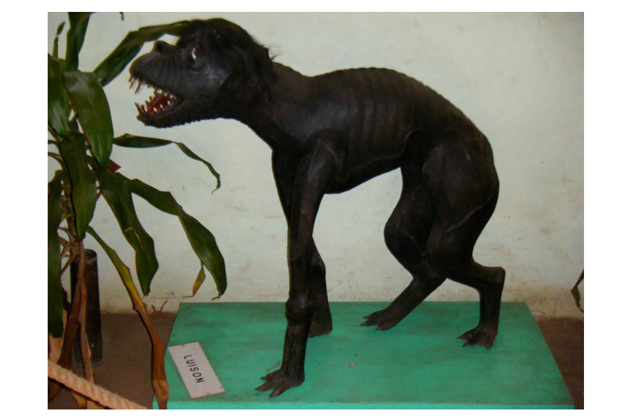 Luison, o Deus da Morte Guarany, com formas de cachorro, porco e humano desproporcionais